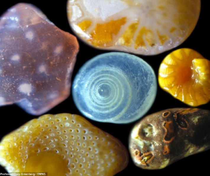 Sand Magnified Insteading
